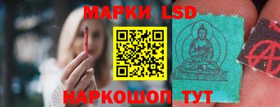 молекула духа Будённовск