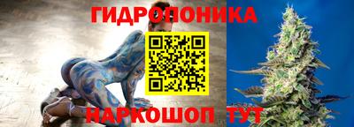 молекула духа Будённовск