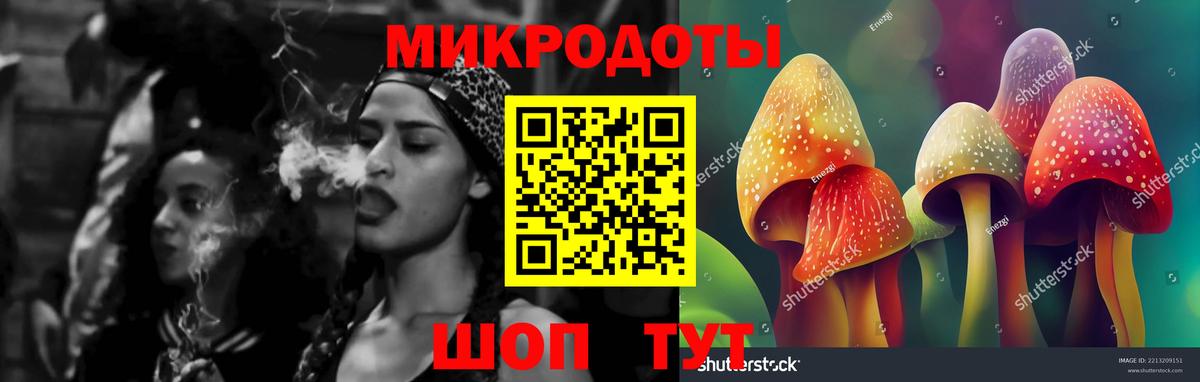 Псилоцибиновые грибы Psilocybe  Вход с VPN  Пугачёв 